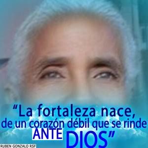 Meet your Posher, Yvett